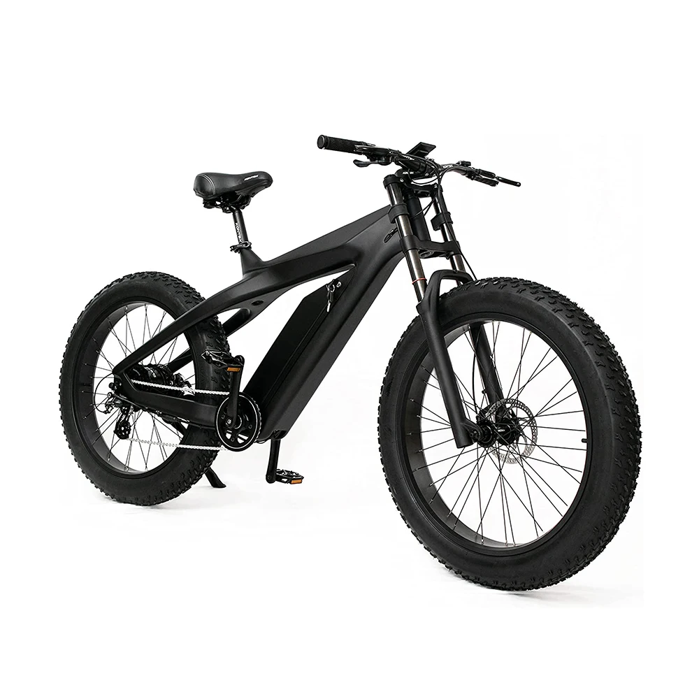 Custom carbon fiber electric bike hidden battery electric bicycle e-bike