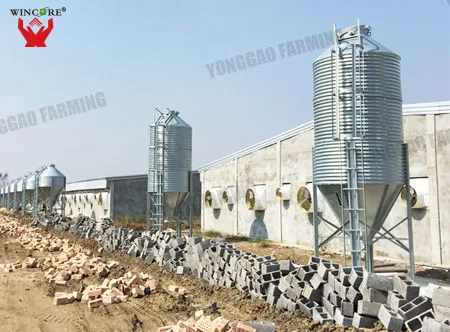 Automated Feeding System Farm Husbandry Intelligent Feeding System lead the industry golden supplier bin storage