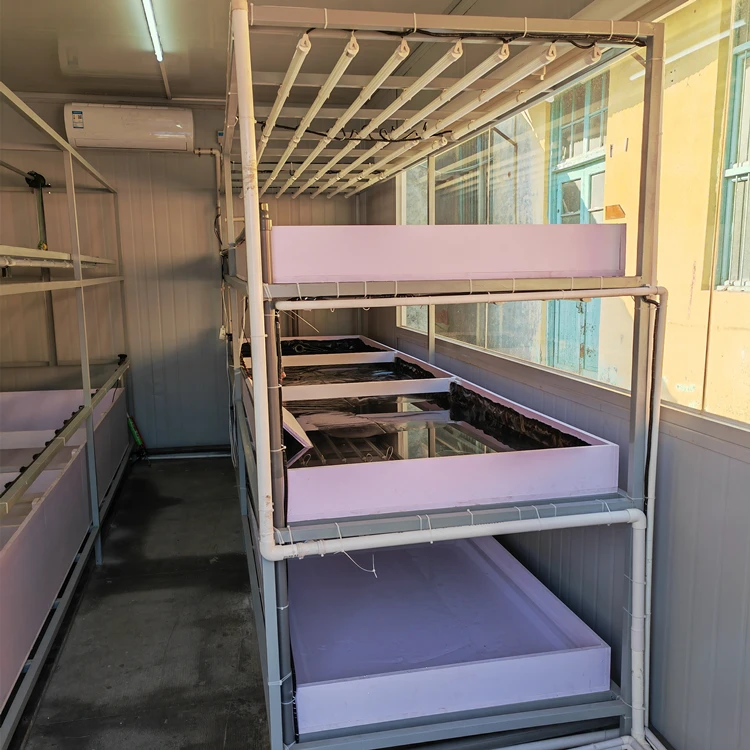 Container Farming Smart Indoor Farm Vertical Hydroponics System Small Plant Factory