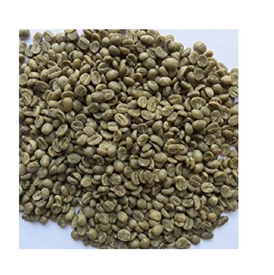 HIGH QUALITY NATURAL HEALTHY SUPER AROMA INDIAN GREEN COFFEE BEAN SUPPLIER AND EXPORTER