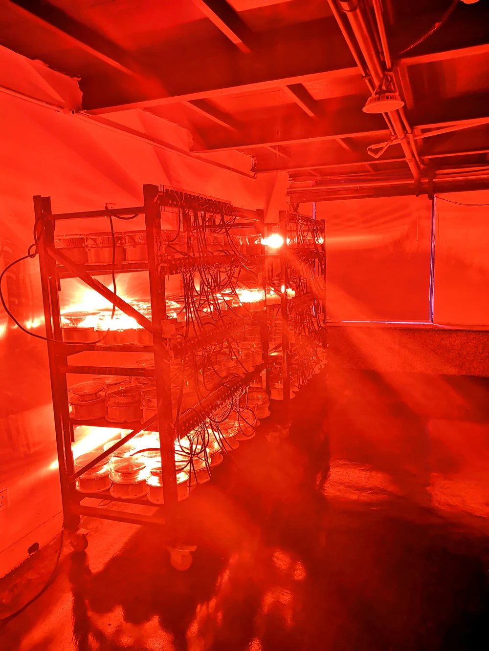 FAA L 864 LED Obstruction Lights For Towers Integrated Fault Monitoring 20 and 40 FPM Red Obstruction Lighting Systems