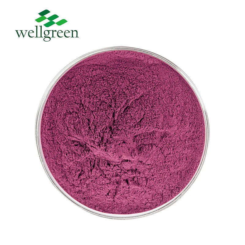 Wellgreen Food Grade Blueberry Fruit Juice 100% Pure Water Souble Organic Blueberry Powder