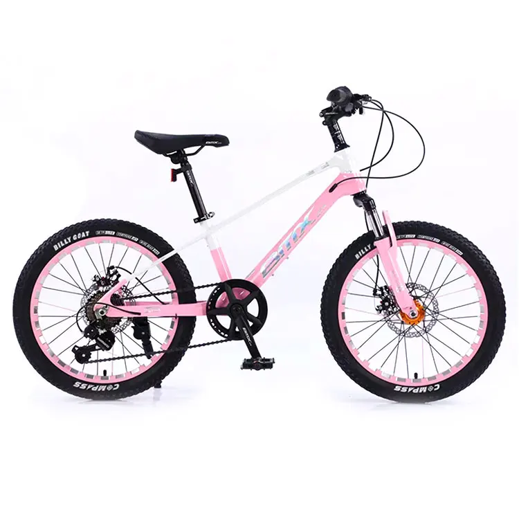 Tianjin new 7 speed magnesium alloy frame 20 inch Shimano derailleur buy cycle man downhill bicycle mountain bike for Adult