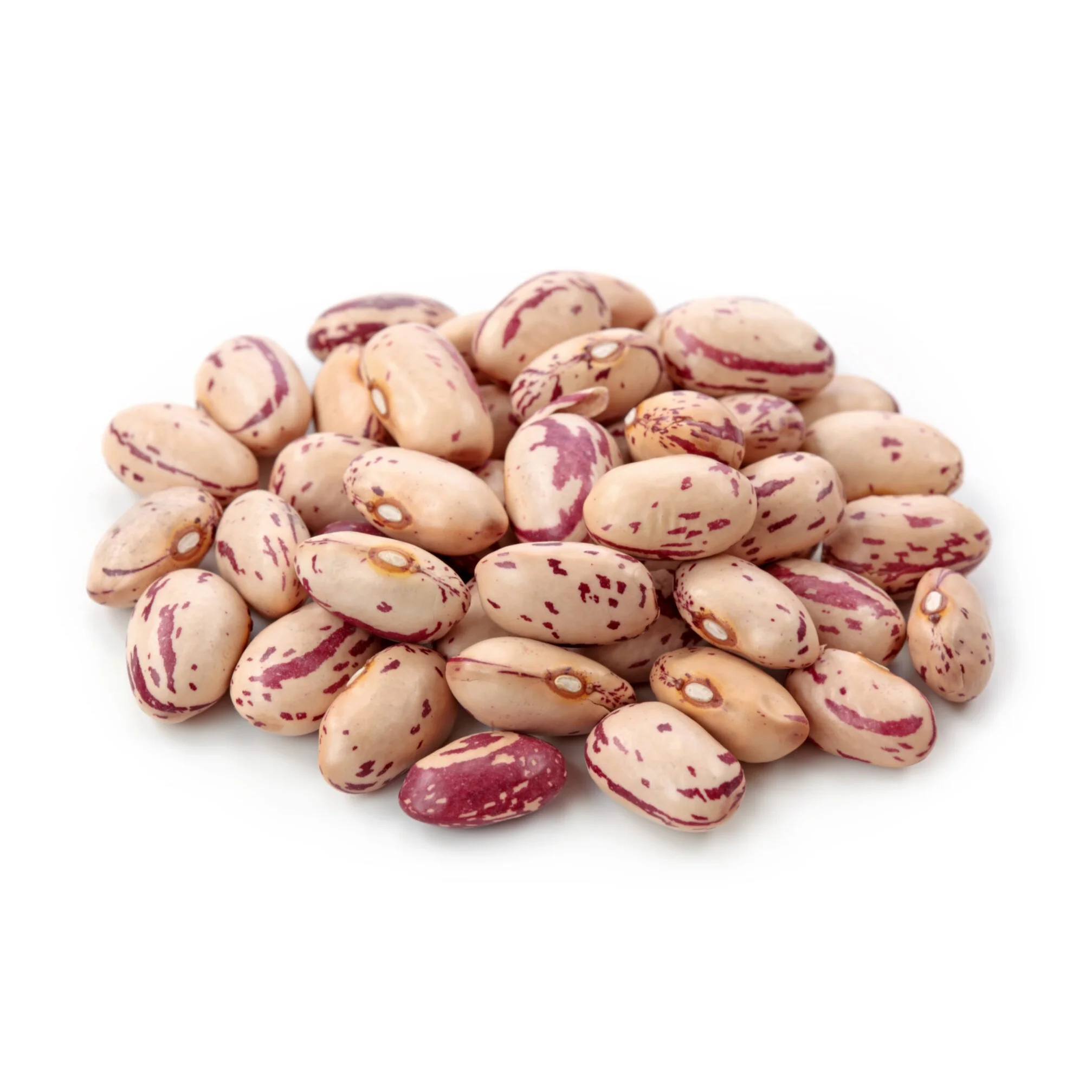 Natural light speckled kidney beans high grade organic kidney beans in bulk from Uzbekistan manufacturer