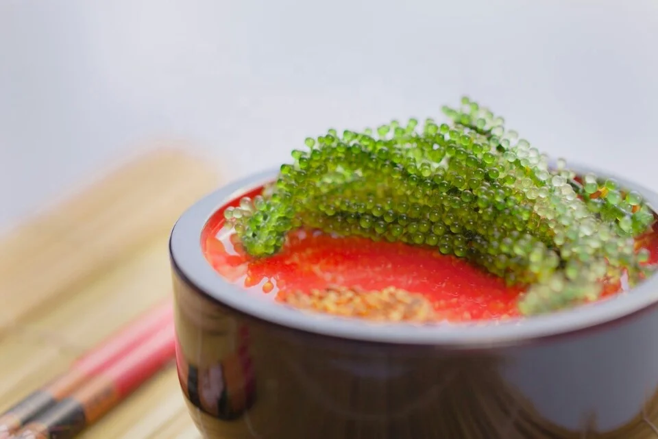 Healthy Food Dehydrated Dried Seaweed With Cheap Price