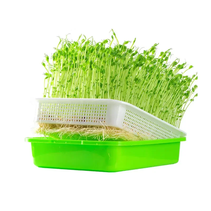 Sprouting Pea Bean Peanut Hydroponic Planting Nursery Seedling Microgreen Tray For Soilless Cultivation Germination Plate