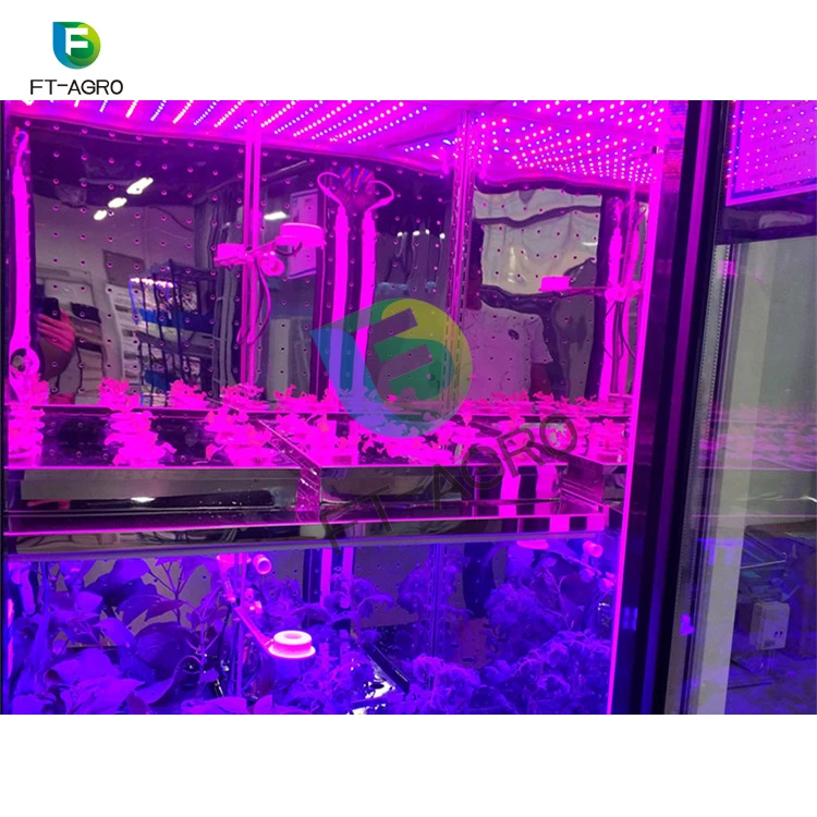 
Complete hydroponic NFT growing container vertical growing system container greenhouse 