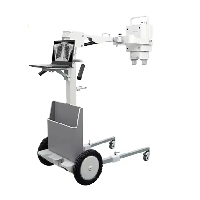 xx-4.jpg