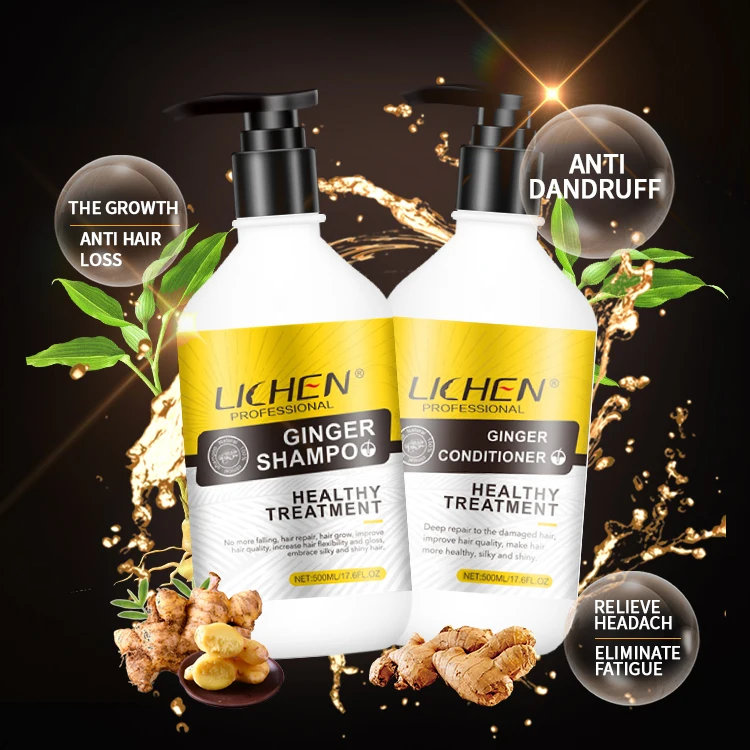 Private label ginger hair care shampoo anti hair loss make your logo GMPC with wholesale price