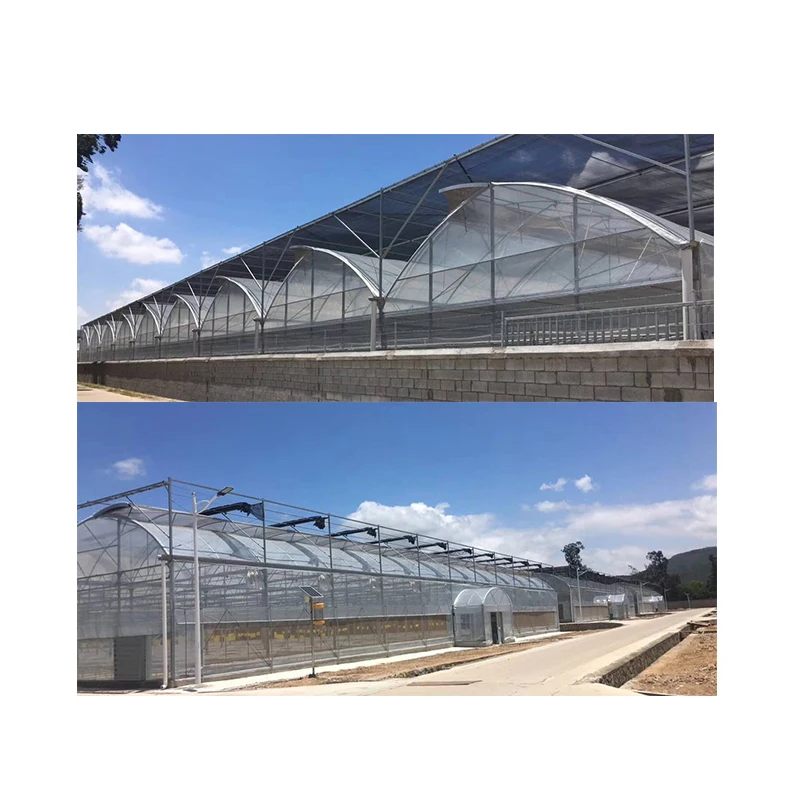 Low cost tropical greenhouse with top vent US strawberry green house multi-span poly tunnel greenhouses large area