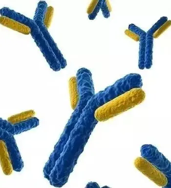 
High purity Recombinant CRISPR-Cas12a protein 