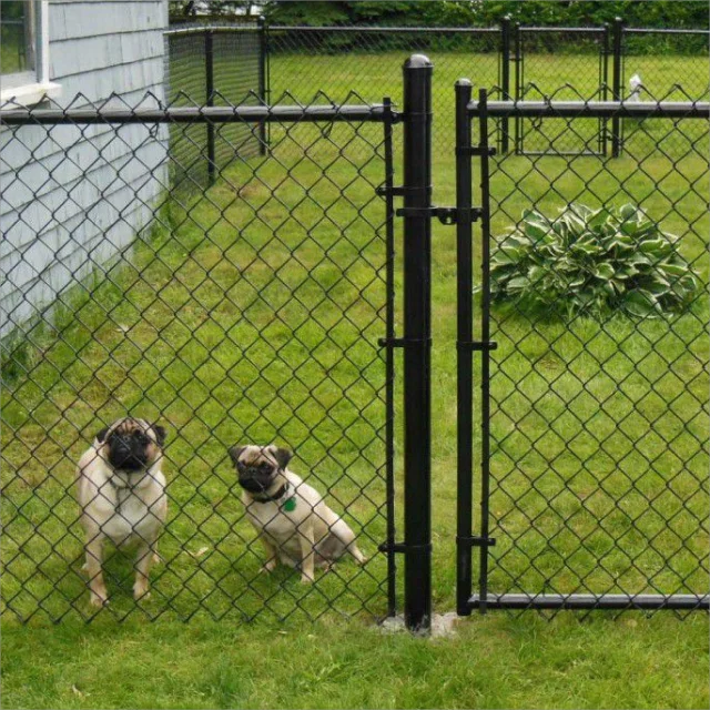 High Quality 1.8m PVC Coated Galvanized Chain Link Mesh Fence 60x60mm Wholesale with Posts and Security Accessories