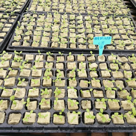 Гидропонная минеральная вата 80 кг/м3 каменная куб для рассады