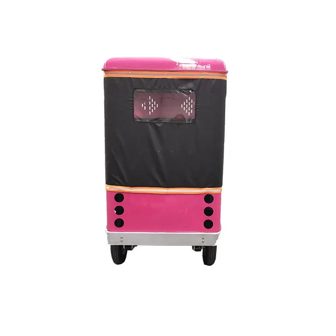 4-колесный скейтборд Электрический пассажирский тук-bajaj авто рикша цена изображение