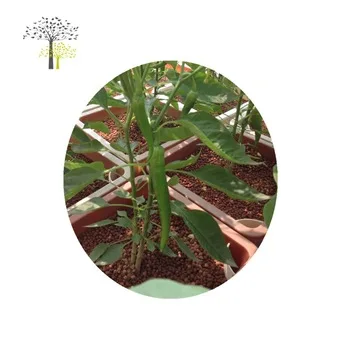 Hydroponics Expanded Clay Pellets Growing Media for Plants