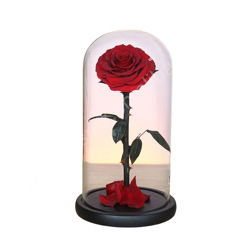 Factory Directly Supply 2024 Hot Selling Eternal Rose Morthers Day Preserved Flower Forever Roses In Glass Dome Led
