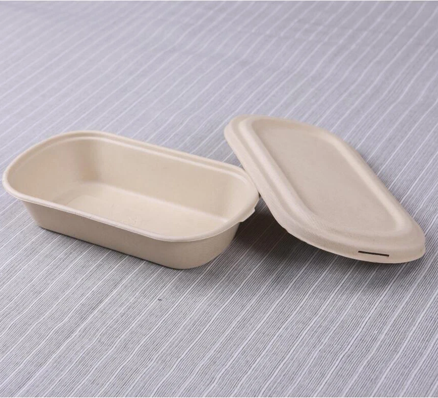 Customized BPA Free Sugarcane Bagasse Pulp Biodegradable to go containers food disposable tableware