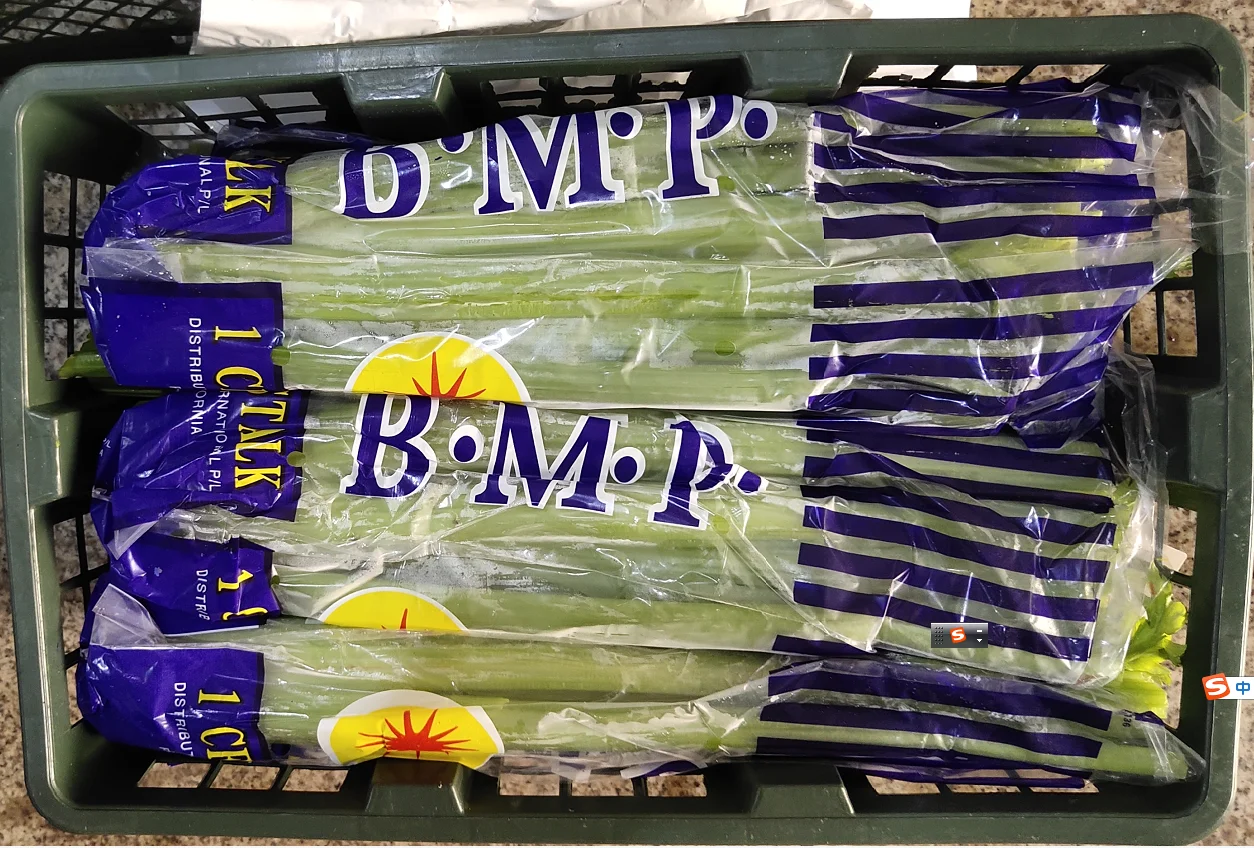 Большая оптовая продажа свежего Сельдерея