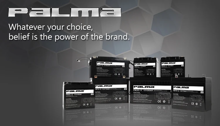 Palma high quality industrial battery charger solar battery 12v 7ah