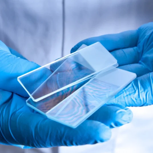 Laboratory slides 75*26 mm disposable plastic mioscope slides