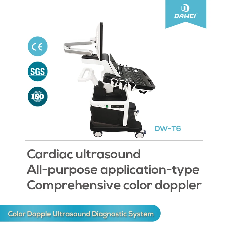 DW-T8 high end general imaging color Doppler ultrasound system with 4D function
