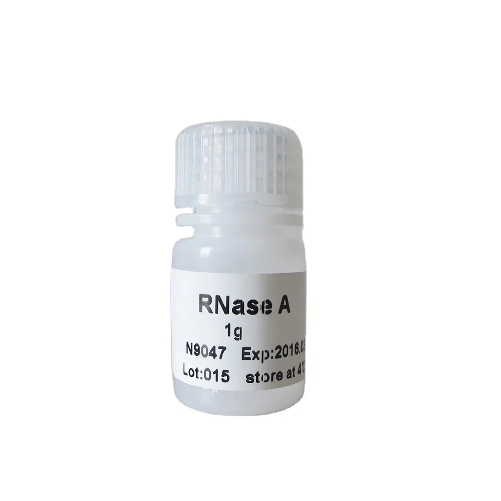 RNase A powder, 3000 U/mg 20g N9048