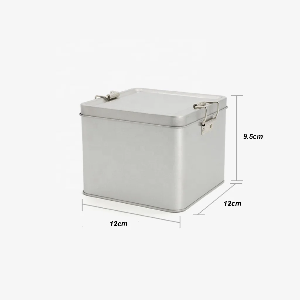 Novelty Empty Cookie Biscuits Storage Metal Box Square Tin with Buckle Lid