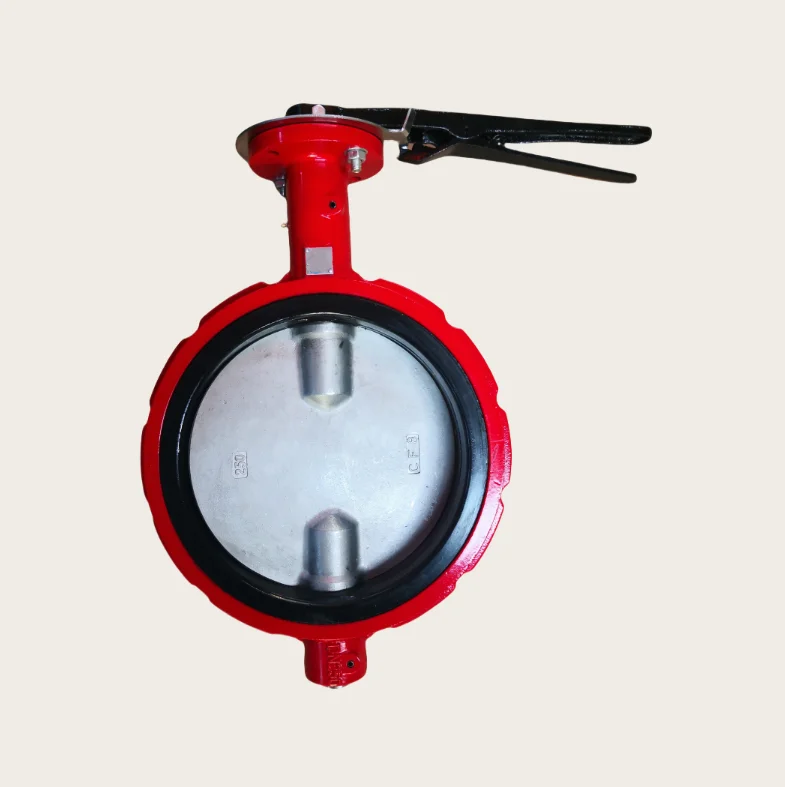 10 Inch ANSI CL150/ANSI125 Ductile Iron Ggg50 Red Color Wafer Type Butterfly Valve Suitable for American Market