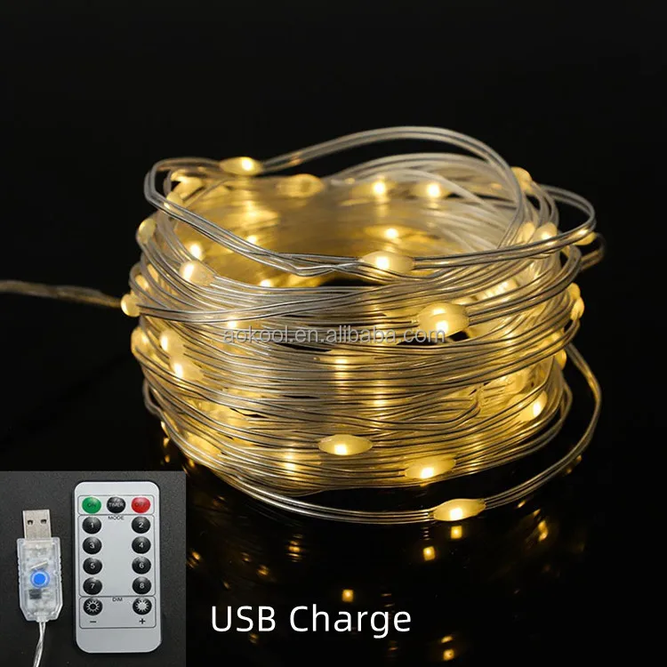 Solar fairy light 04.jpg