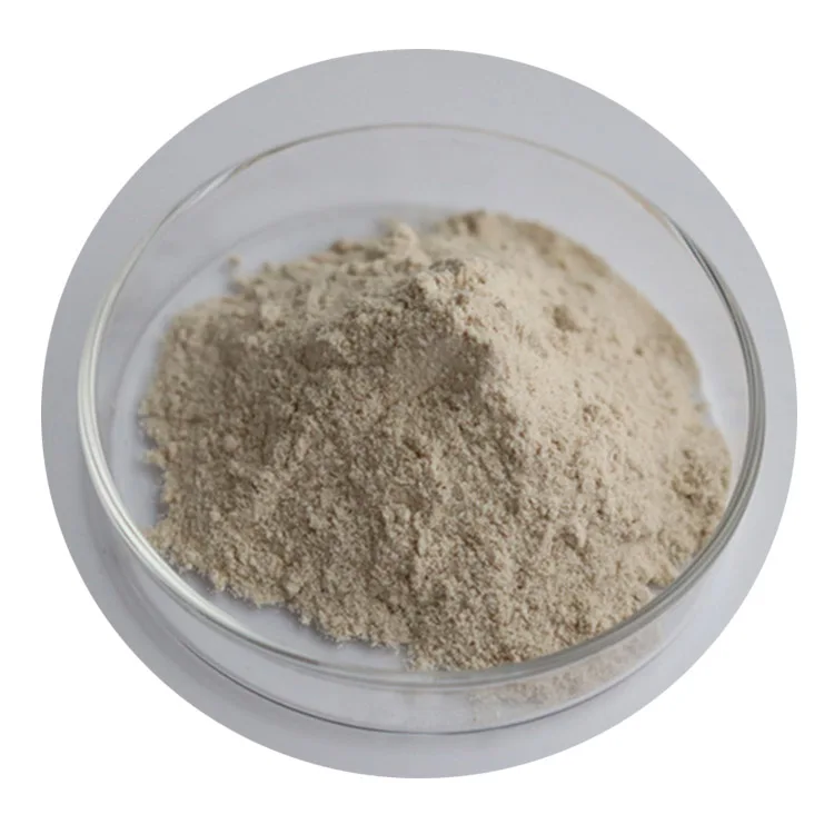 
API manufacture supply Amylase food grade amylase halal liquid enzyme baking fungal powder enzyme a 