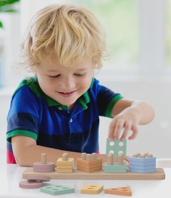 W177 Montessori Toys  Shape Sorter and Color Stacker Preschool Kids Wood Gifts