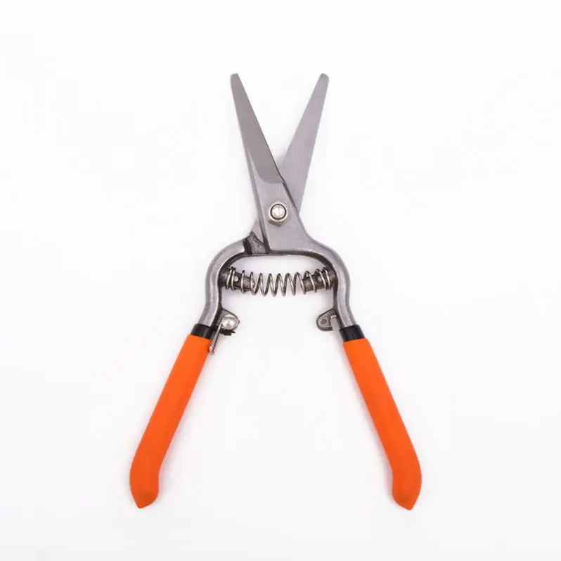 Custom Or Standard Competitive Price Forged Pruner