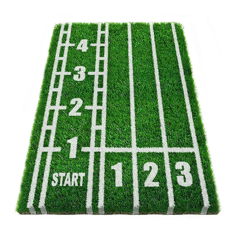 Customized Fitness Artificial Grass Gym Sled Turf for Gym Fitness Flooring