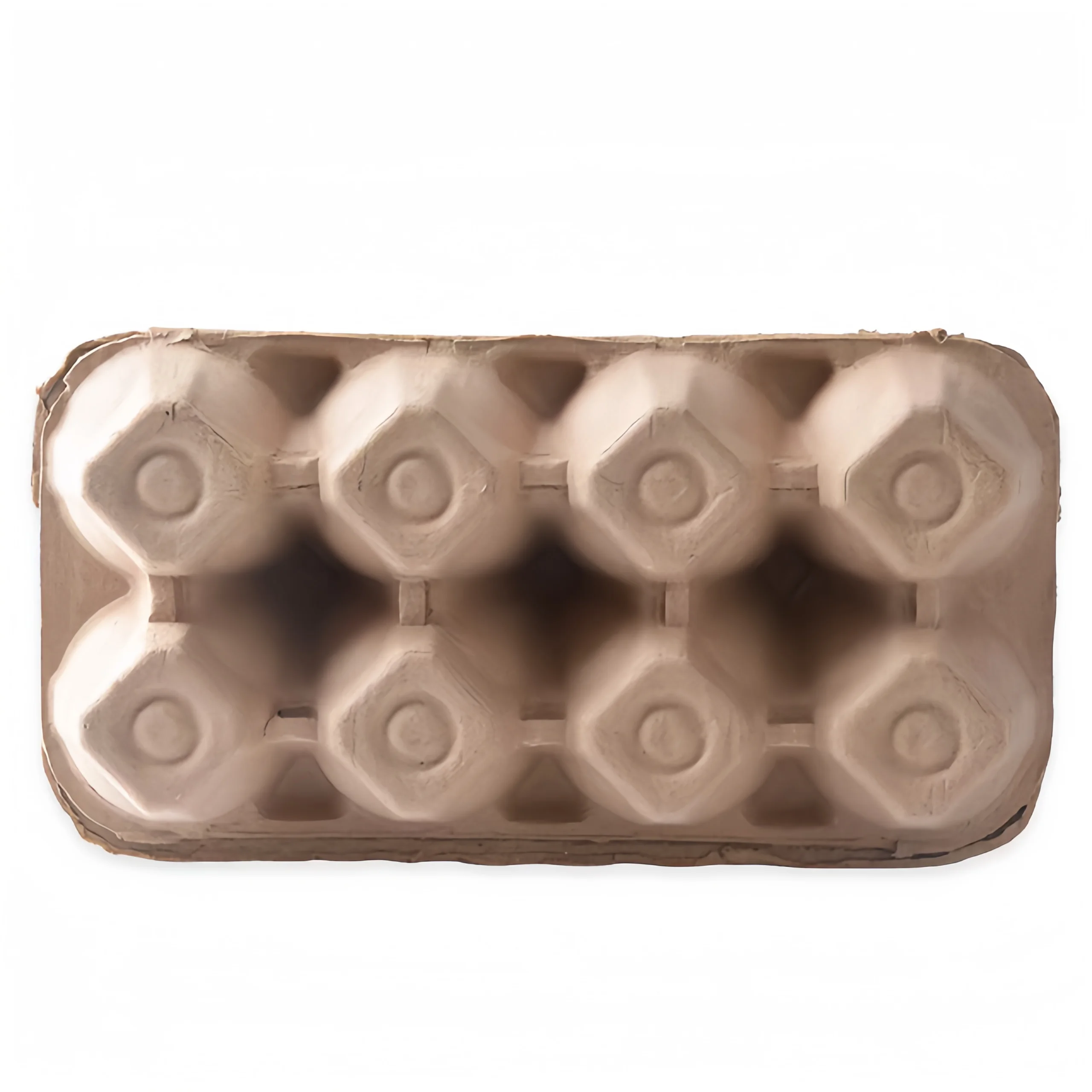 Custom Low Price Six Holds Biodegradable Paper Pack Duck Eggs Carton Tray Box