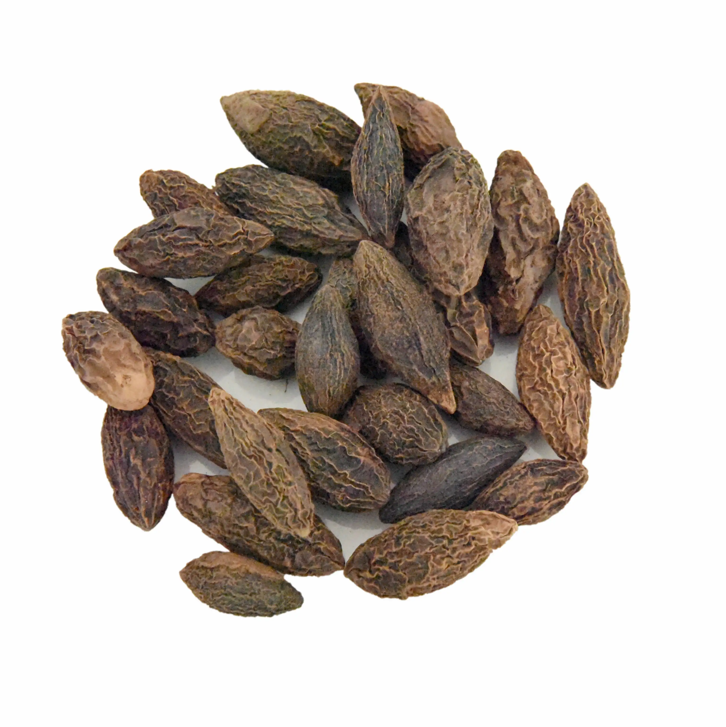 
Whosale herbs Qingguo CANARII FRUCTUS Canarium albumcrude medicine organic herbs Quality herb qingguo 