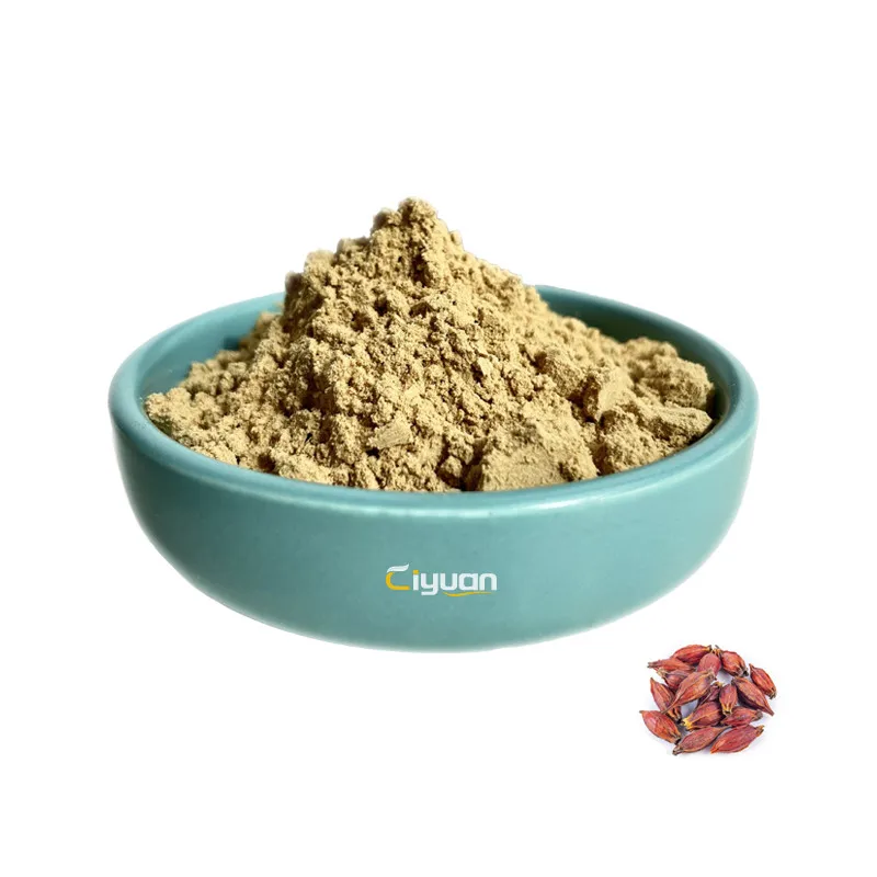 Ciyuan BIO Gardenia Extract Fructus Gardeniae Extract OEM Packing Capsule