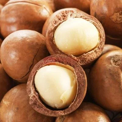 Best Grade Raw Macadamia Nuts