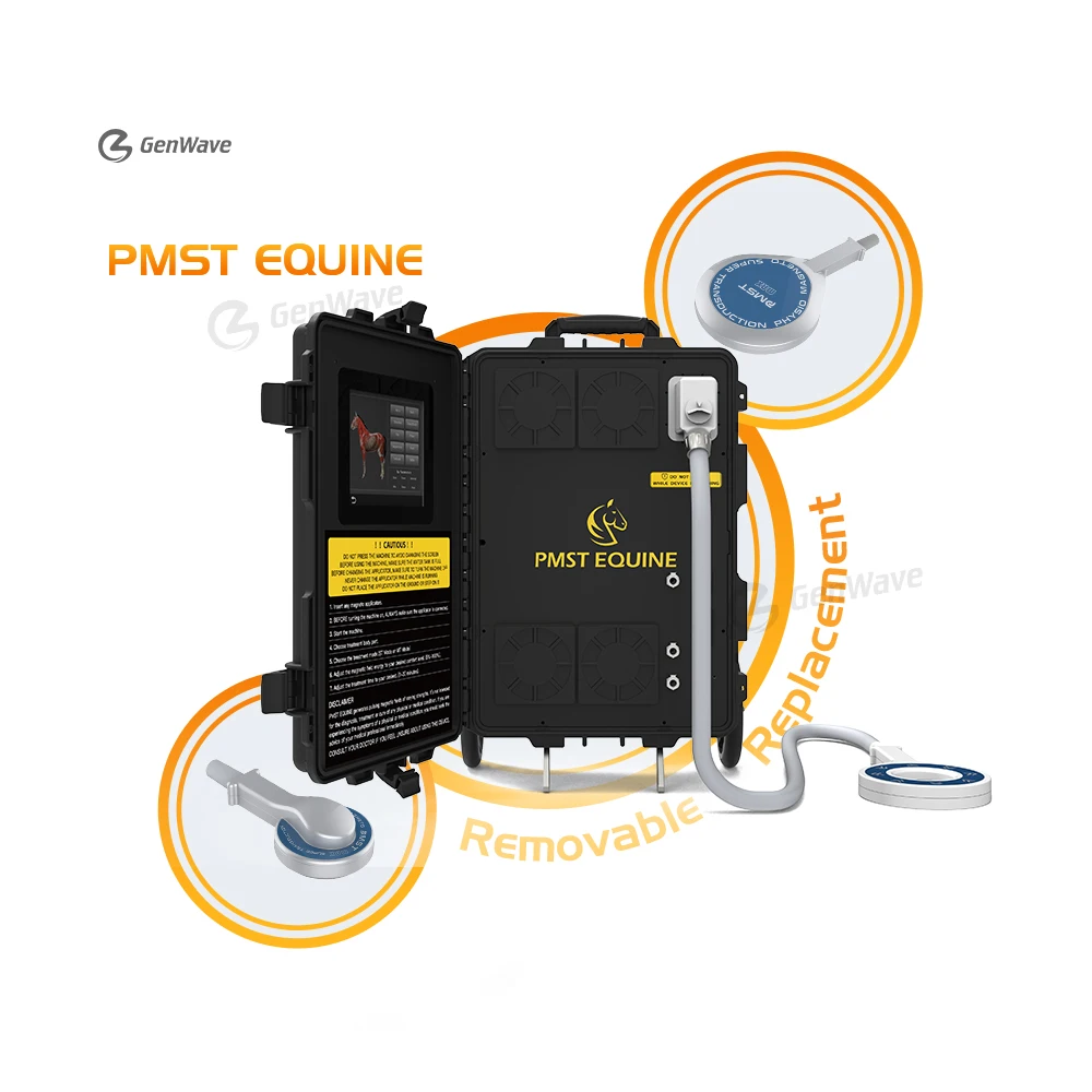 New PMST Equine Magnetic Therapy Machine PEMF Equine Physio Magneto Therapy For  Laminitis Replaceable Handles Machine