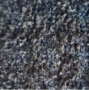 Поставщик полиэфирной шерстяной клетчатой трикотажной жаккардовой ткани Зимние ткани для AT2002-1 одежды/2/3/4/6