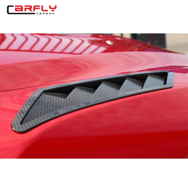 Передние кранцы из углеродного волокна для R35 (OEM)