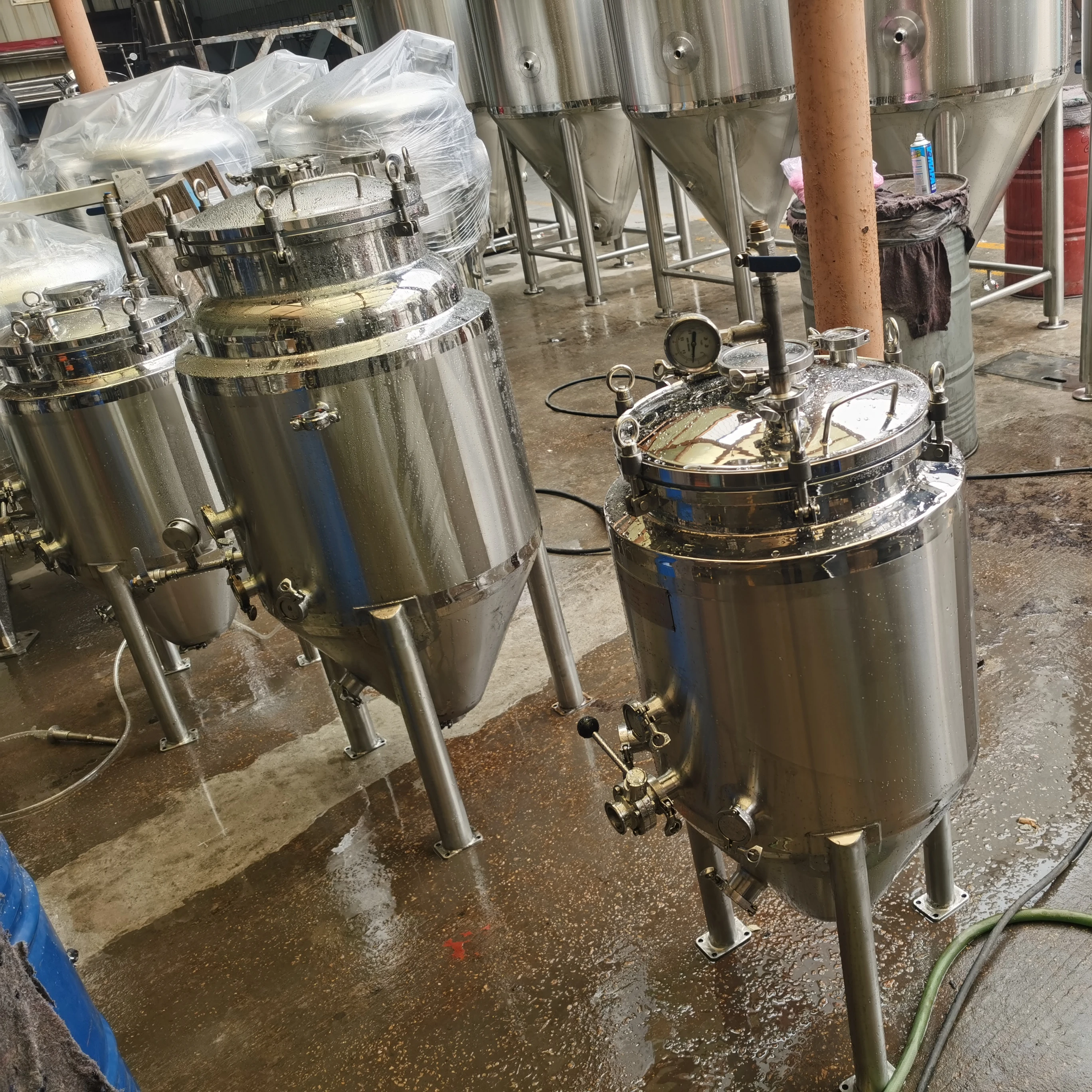 30L 50L 100L Home Brew Beer Fermentation Tank Conical Fermenter