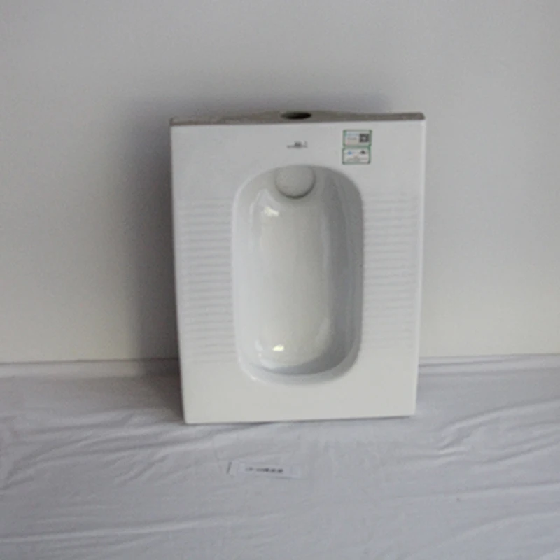 
Delicate Appearance Wc Bathroom Squat Dual Flushing Ceramic Squatting Pan 