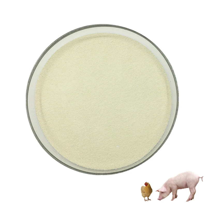 
Broiler premix phytase enzyme in poultry feed 