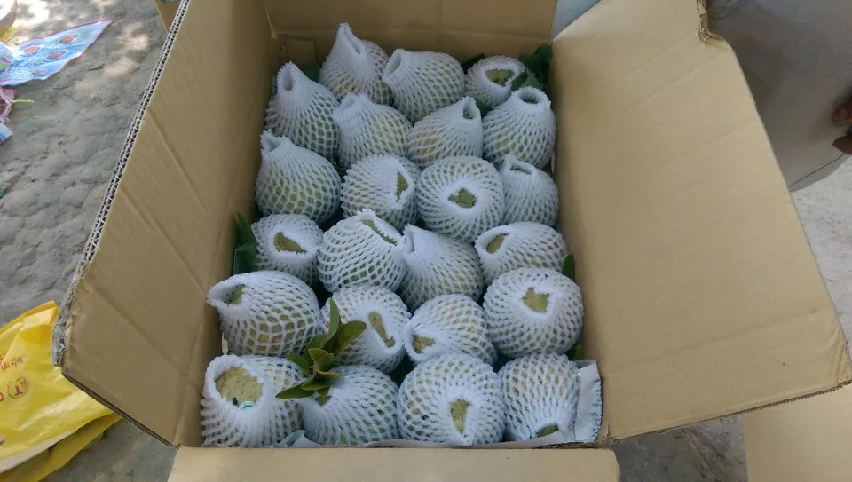 Свежие фрукты анноны-высокое качество и Лучшая цена 2022-свяжитесь с нами для получения дополнительной