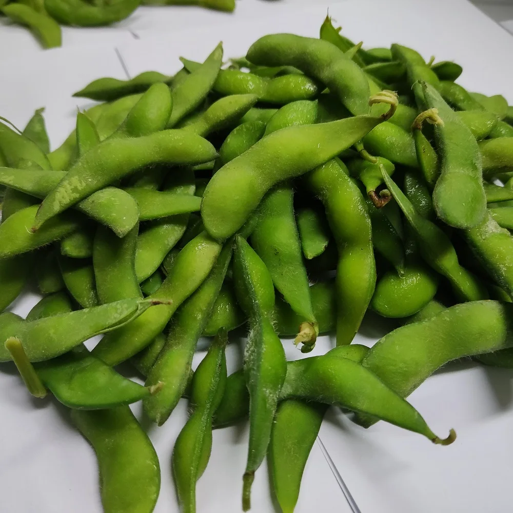 Frozen Edamame Soybeans Frozen Green Soybeans Frozen Green Edamame
