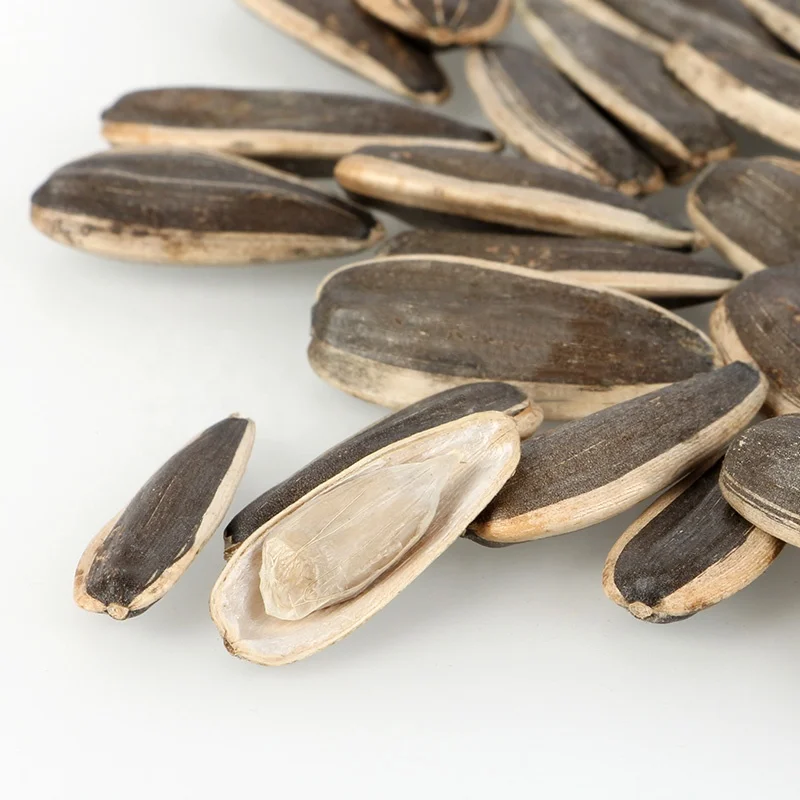 Inner Mongolia High-end Quality Export Melon Seed Office peeled sunflower seeds