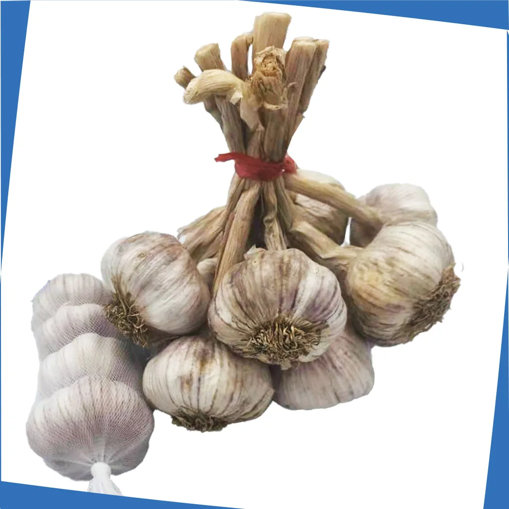 Чеснок чисто белый Shandong высшего качества