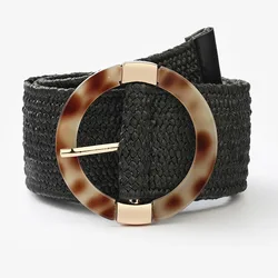 Wholesale Fashion New Style Elastic Woven Straw Belt for Women Pink Black Color Girls PP Straw Braided Plastic Buckle