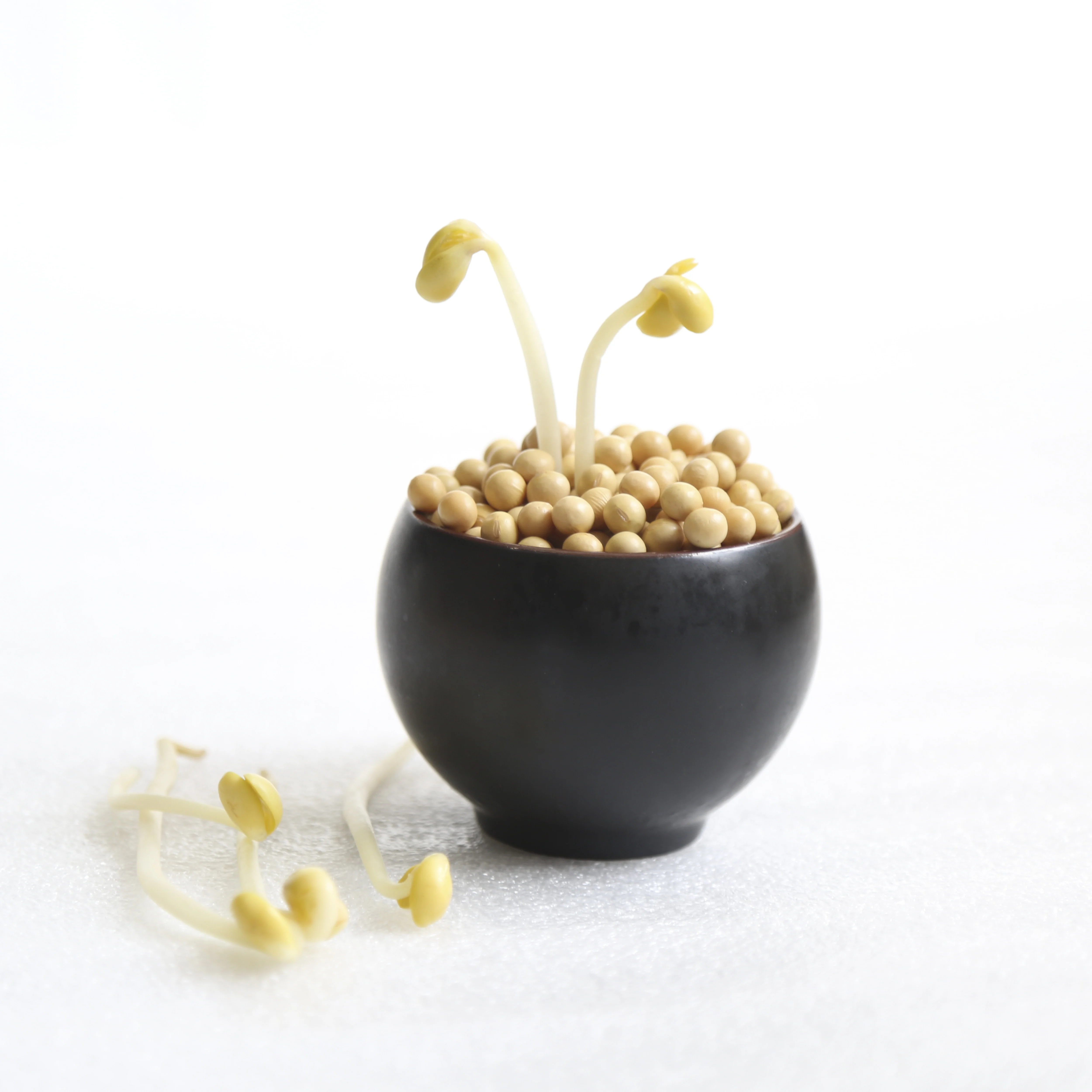 Non-GMO Органическая Лидер продаж пищевая фасоль soybeansoja для прорастания человеческого молока