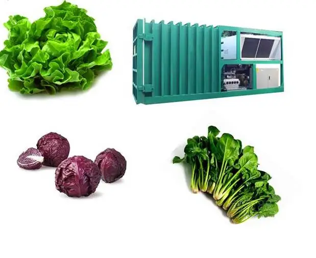 ASME CE high efficiency good quality fruit vegetables vacuum precooler